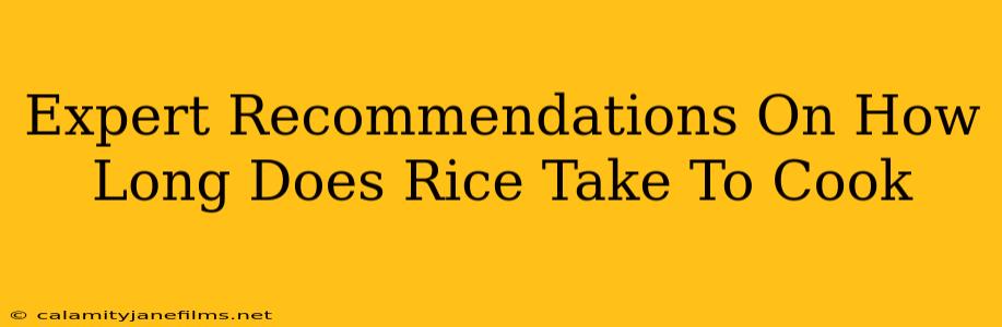 Expert Recommendations On How Long Does Rice Take To Cook