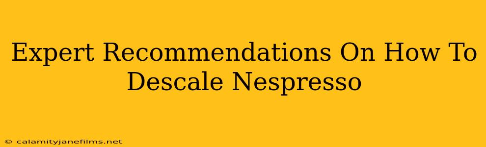 Expert Recommendations On How To Descale Nespresso