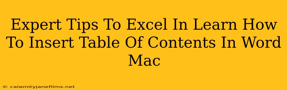 Expert Tips To Excel In Learn How To Insert Table Of Contents In Word Mac