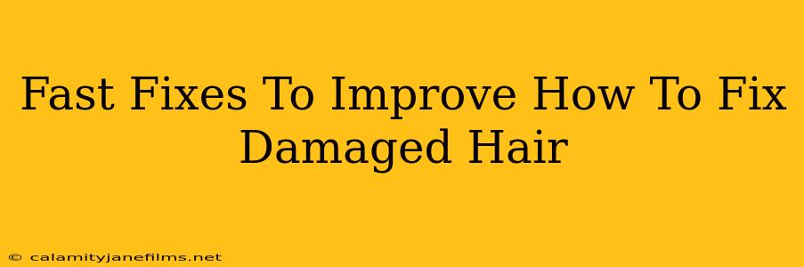 Fast Fixes To Improve How To Fix Damaged Hair