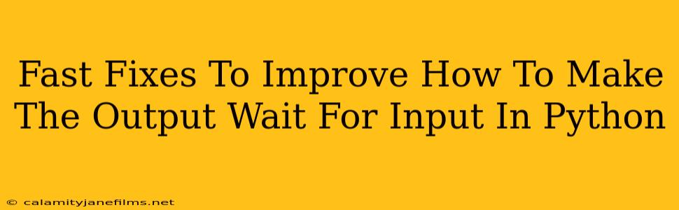 Fast Fixes To Improve How To Make The Output Wait For Input In Python