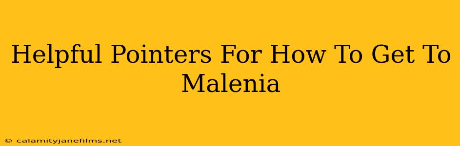 Helpful Pointers For How To Get To Malenia