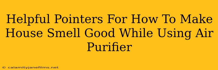 Helpful Pointers For How To Make House Smell Good While Using Air Purifier