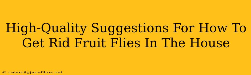 High-Quality Suggestions For How To Get Rid Fruit Flies In The House