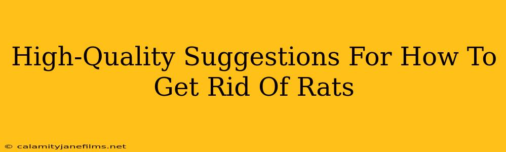 High-Quality Suggestions For How To Get Rid Of Rats