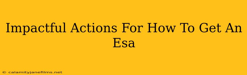 Impactful Actions For How To Get An Esa