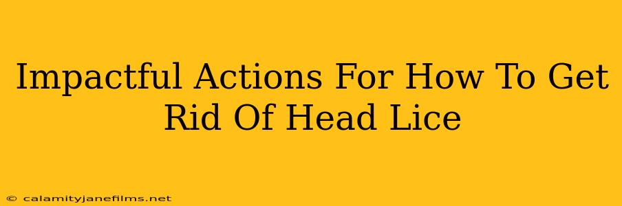 Impactful Actions For How To Get Rid Of Head Lice