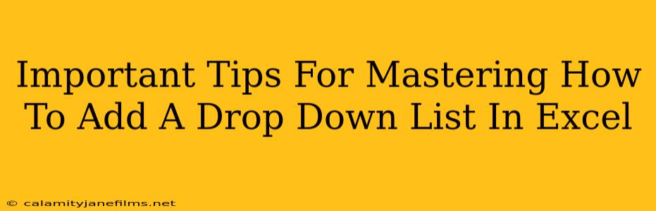 Important Tips For Mastering How To Add A Drop Down List In Excel