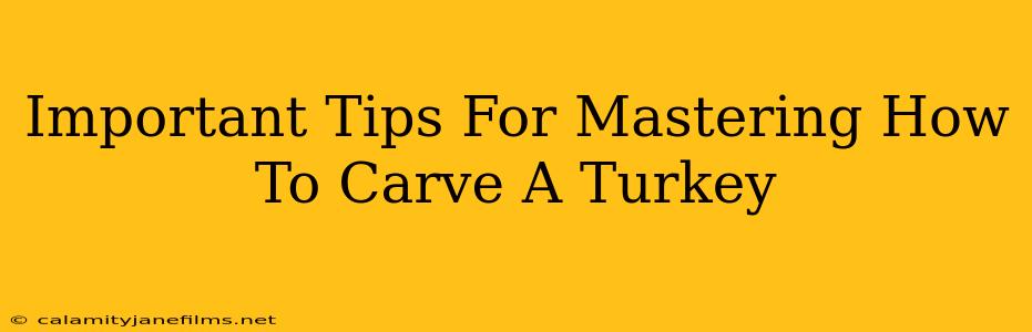 Important Tips For Mastering How To Carve A Turkey