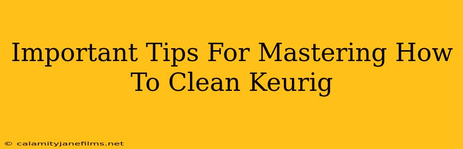 Important Tips For Mastering How To Clean Keurig