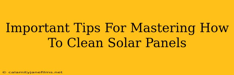 Important Tips For Mastering How To Clean Solar Panels