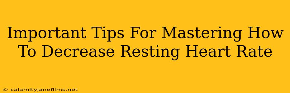 Important Tips For Mastering How To Decrease Resting Heart Rate