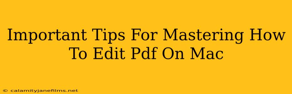 Important Tips For Mastering How To Edit Pdf On Mac