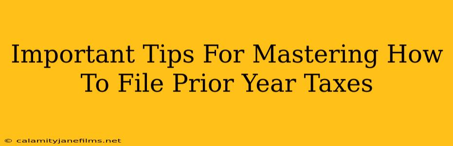 Important Tips For Mastering How To File Prior Year Taxes