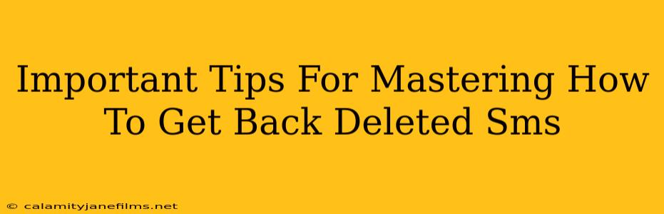 Important Tips For Mastering How To Get Back Deleted Sms