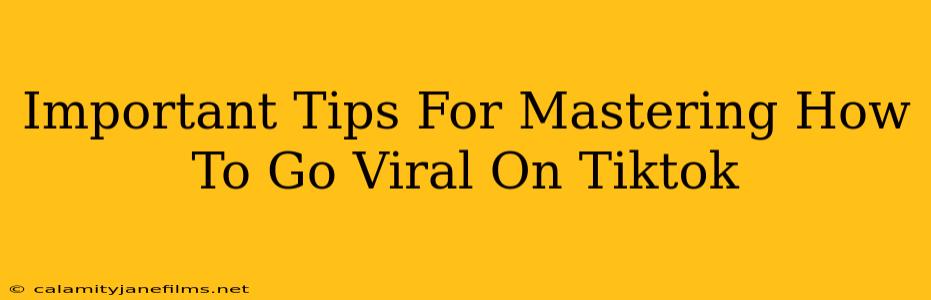 Important Tips For Mastering How To Go Viral On Tiktok