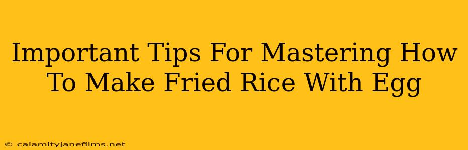 Important Tips For Mastering How To Make Fried Rice With Egg