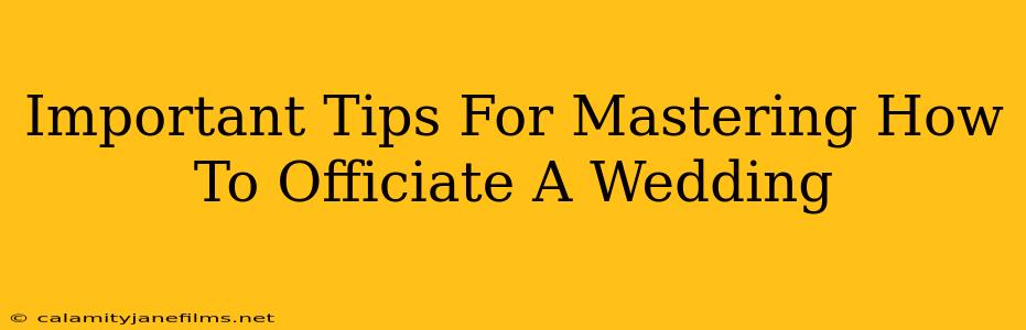 Important Tips For Mastering How To Officiate A Wedding