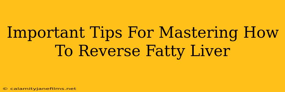 Important Tips For Mastering How To Reverse Fatty Liver