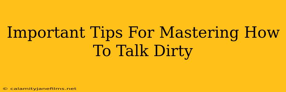 Important Tips For Mastering How To Talk Dirty