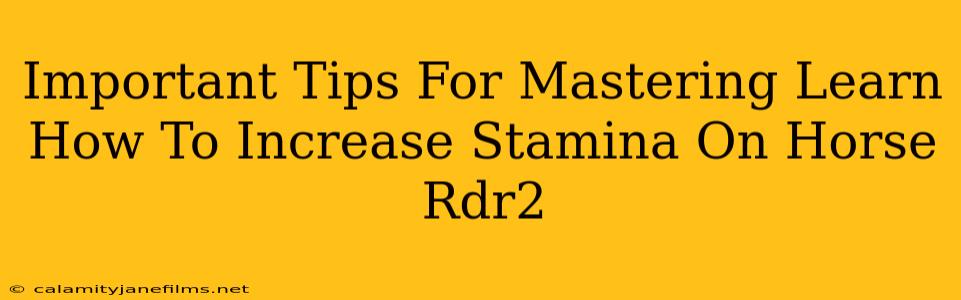 Important Tips For Mastering Learn How To Increase Stamina On Horse Rdr2