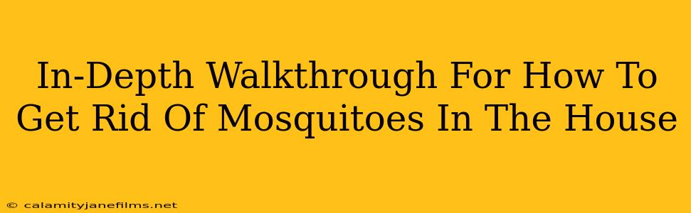 In-Depth Walkthrough For How To Get Rid Of Mosquitoes In The House