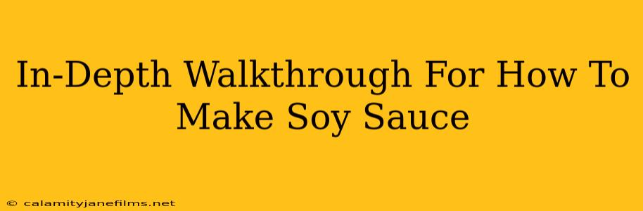 In-Depth Walkthrough For How To Make Soy Sauce