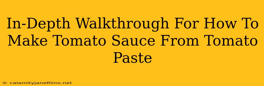 In-Depth Walkthrough For How To Make Tomato Sauce From Tomato Paste