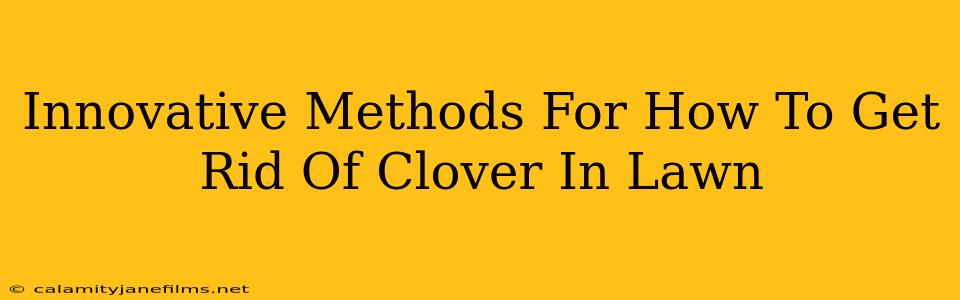 Innovative Methods For How To Get Rid Of Clover In Lawn