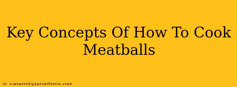 Key Concepts Of How To Cook Meatballs