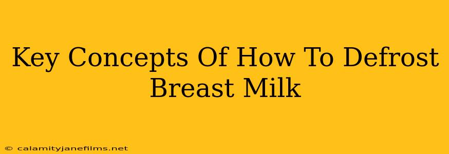 Key Concepts Of How To Defrost Breast Milk