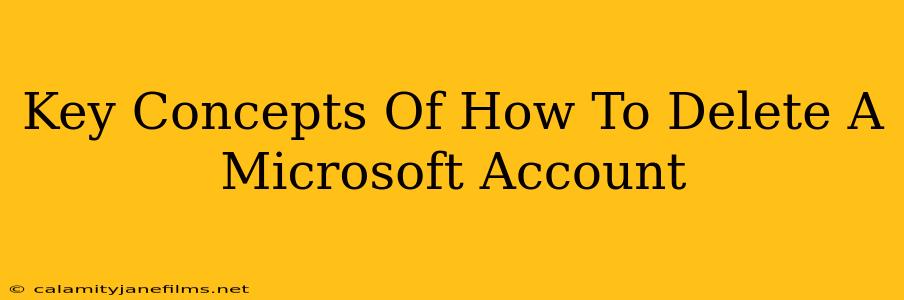 Key Concepts Of How To Delete A Microsoft Account