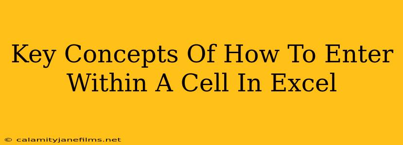 Key Concepts Of How To Enter Within A Cell In Excel