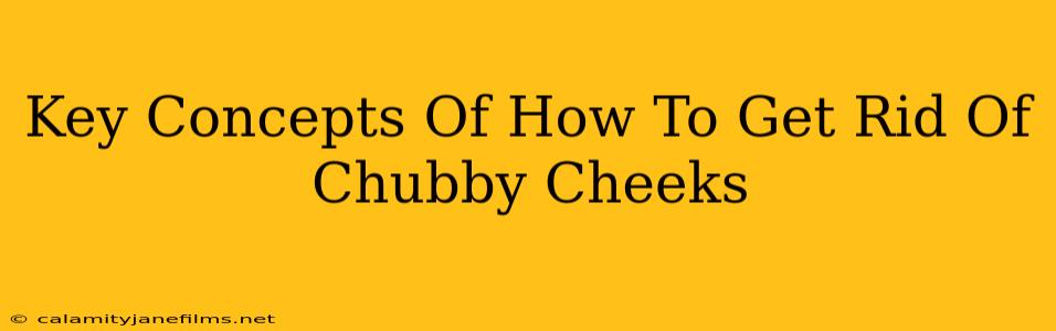 Key Concepts Of How To Get Rid Of Chubby Cheeks