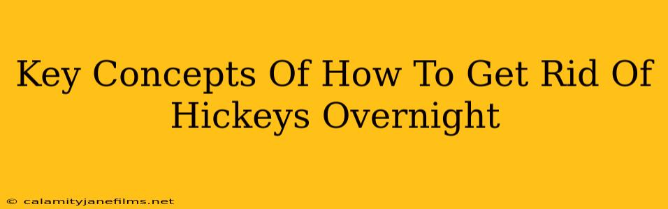 Key Concepts Of How To Get Rid Of Hickeys Overnight