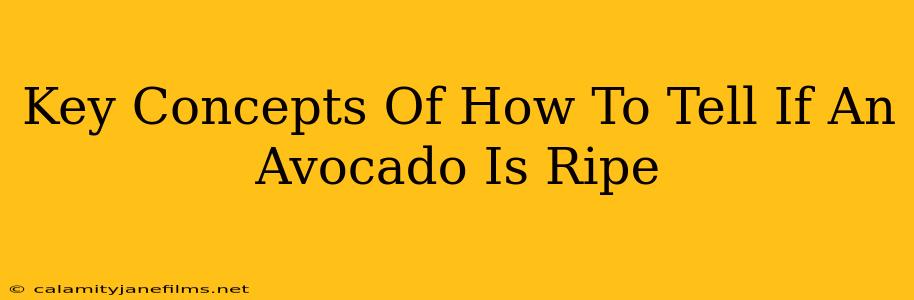 Key Concepts Of How To Tell If An Avocado Is Ripe