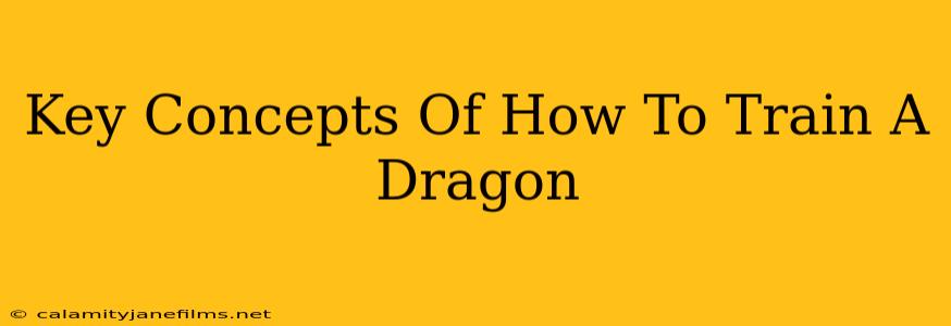 Key Concepts Of How To Train A Dragon