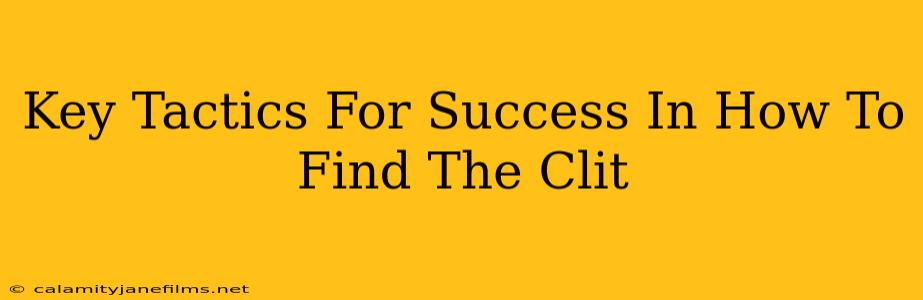 Key Tactics For Success In How To Find The Clit