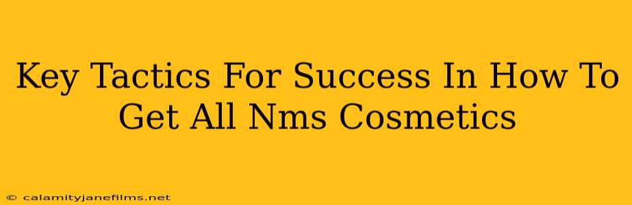 Key Tactics For Success In How To Get All Nms Cosmetics