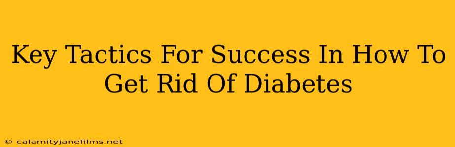 Key Tactics For Success In How To Get Rid Of Diabetes