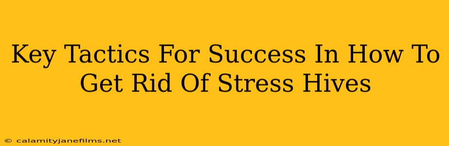 Key Tactics For Success In How To Get Rid Of Stress Hives