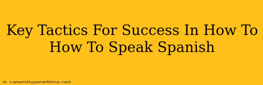 Key Tactics For Success In How To How To Speak Spanish