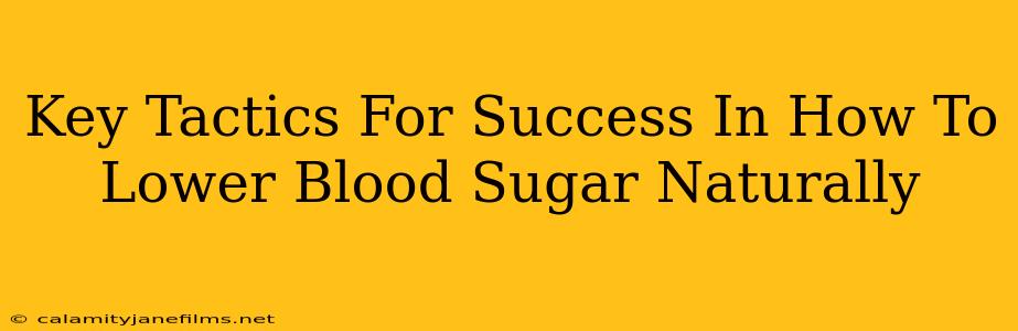 Key Tactics For Success In How To Lower Blood Sugar Naturally