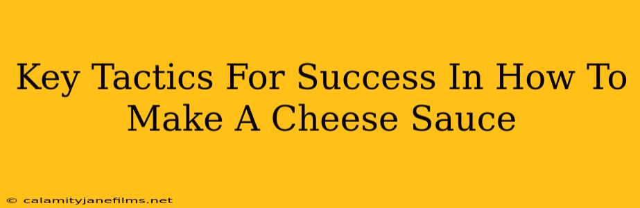 Key Tactics For Success In How To Make A Cheese Sauce