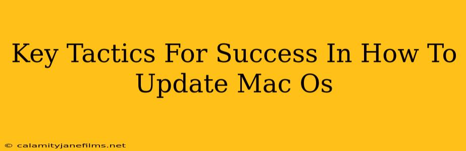 Key Tactics For Success In How To Update Mac Os