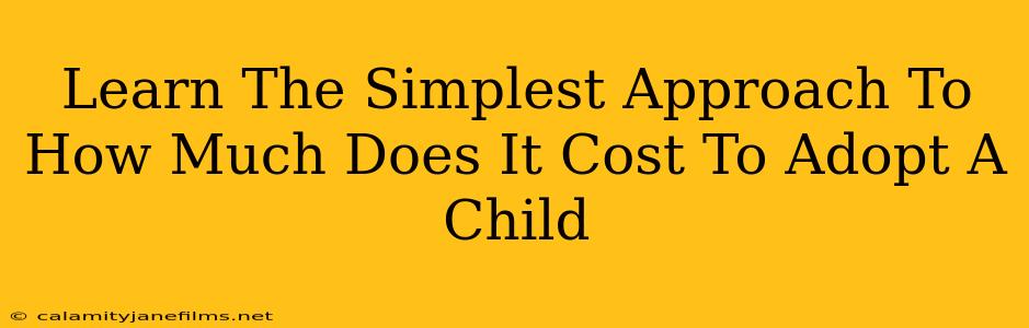 Learn The Simplest Approach To How Much Does It Cost To Adopt A Child