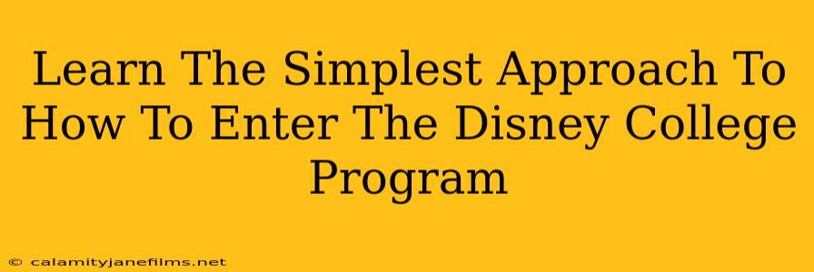 Learn The Simplest Approach To How To Enter The Disney College Program