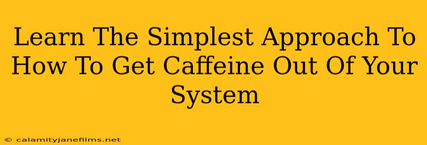 Learn The Simplest Approach To How To Get Caffeine Out Of Your System