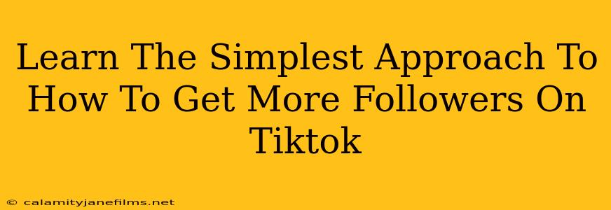 Learn The Simplest Approach To How To Get More Followers On Tiktok