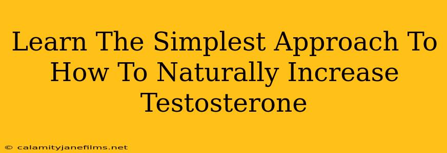 Learn The Simplest Approach To How To Naturally Increase Testosterone